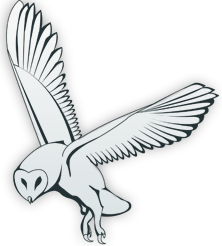 Canada West Court Bailiffs Ltd